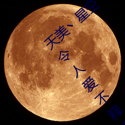 天美丶星空丶果冻入口点击量惊人 永久免费令人爱不释手