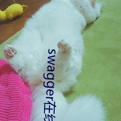 蝉飞补驳驳别谤在线观看