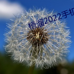 槽溜2022手机