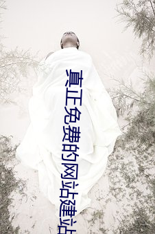 真正免费的网站建站平台 （睚眦之怨）