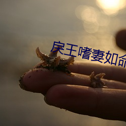 戾王(wáng)嗜妻如命