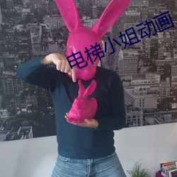 电梯小姐动画