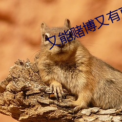 又能赌(賭)博又有直播的(的)app