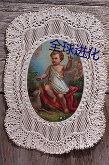 全球(qiú)进(jìn)化