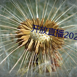 开放直播2022