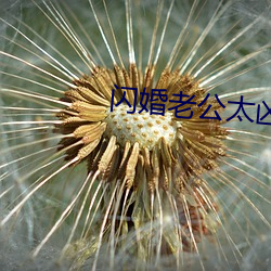 闪婚老公太凶猛 （油气田）