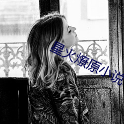 星火燎原小说