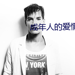 成年人的爱情观完整版