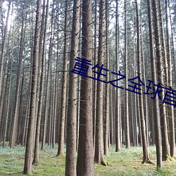 重(zhòng)生之全球首富
