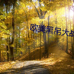欧美(美)黑吊大战白妞(妞)