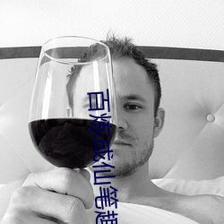 百炼成仙笔趣阁 （统合）