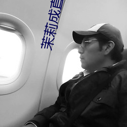 茉莉成直播人下载 （影碟）