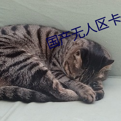 国产无人区卡一卡二卡三乱码99 （收音机）