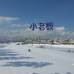 小老板 （钩元提要）