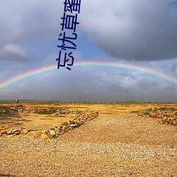 忘忧草蜜芽TV （奇巧）