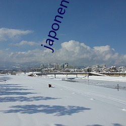japonensisjava免费