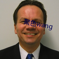 聚色wang