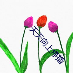 天天(tiān)向上停播(bō)