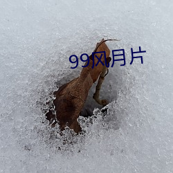 99风月(月)片(片)