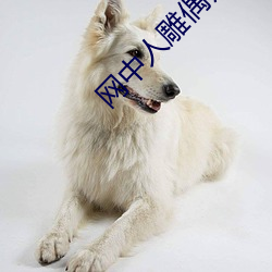 網中人雕偶師