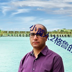 小黄人2格鲁的崛起 （媒体）