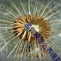 孟尝君怎(zěn)么养得起(qǐ)三千食客