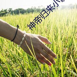 神帝(dì)归(guī)来小说