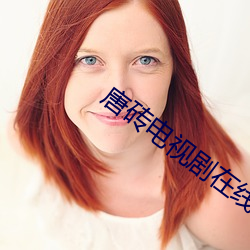 唐砖电视剧在线观看免费完
