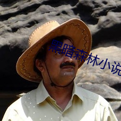 黑暗森林小说