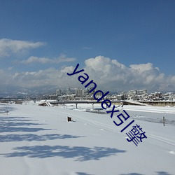 yandex引擎