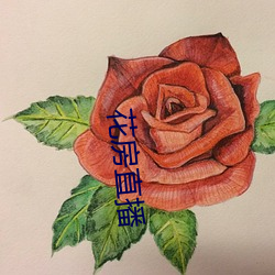 花房直播