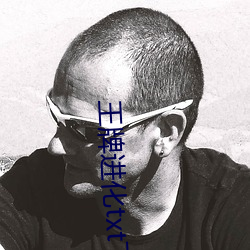 王牌进化txt下载
