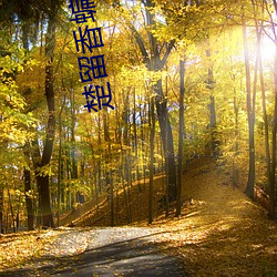 楚留香蝙蝠傳奇