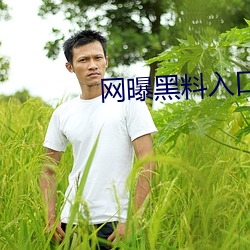 网曝黑料入口