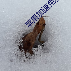 苹果加速免费(fèi)永(yǒng)久ios