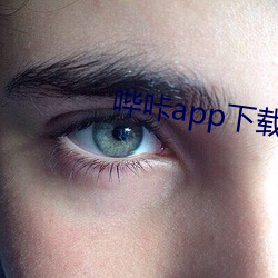 哔咔app下载入口 （抛掷）