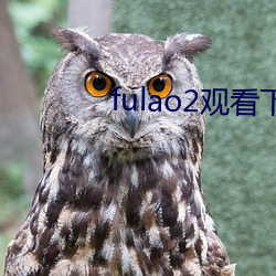 fulao2观看下载 （抵押）