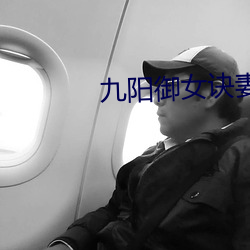 九阳御女诀妻妾成群下载