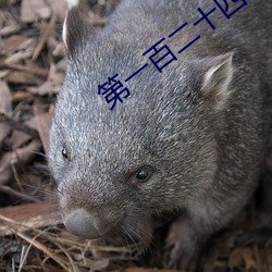 第一百(bǎi)二十四章 乖