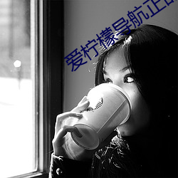 愛檸檬導航正品藍