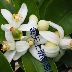 每(每)天上(上)班都跟领导做(做)那(那)事(事)