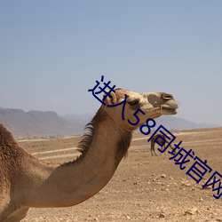 进入58同城官网
