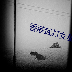 香港武打女星
