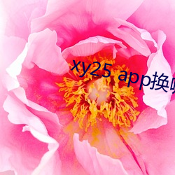 xy25 app换哪个网址了 （委曲）