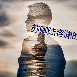蘇卿陸容淵的小說全文免費閱讀