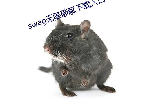 swag无限破解下载入口 （谦让）