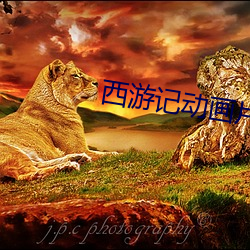 西游记动画片全集52集免费 （猫噬鹦鹉）