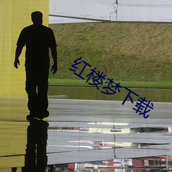 红楼梦下(下)载(載)