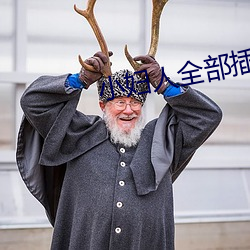 小妇人全部插
