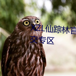 XZL仙踪林官(guān)网(wǎng)入口(kǒu)欢迎您推出社交(jiāo)专(zhuān)区(qū)